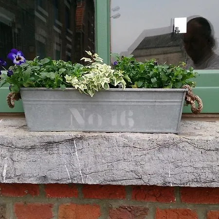 La Malavisée * Leernes