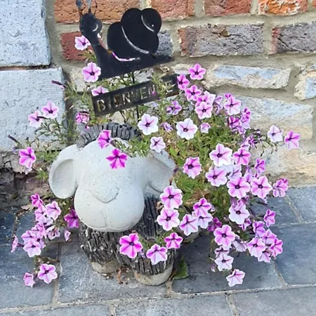 La Malavisee Leernes