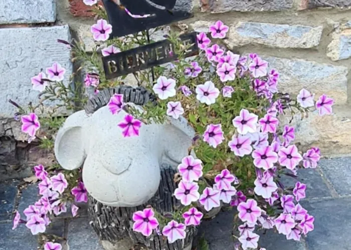 La Malavisee Leernes