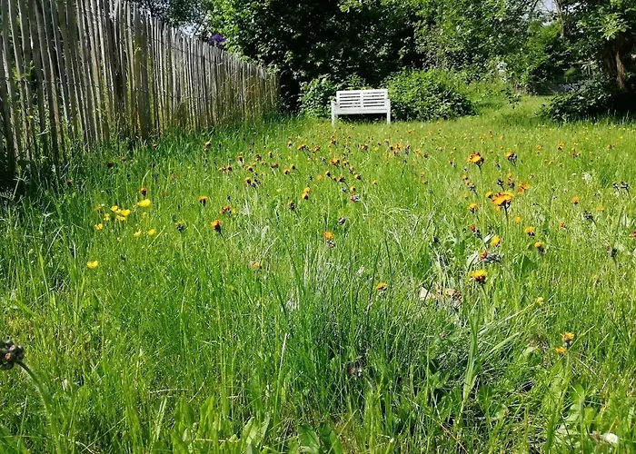 La Malavisee Nyaraló